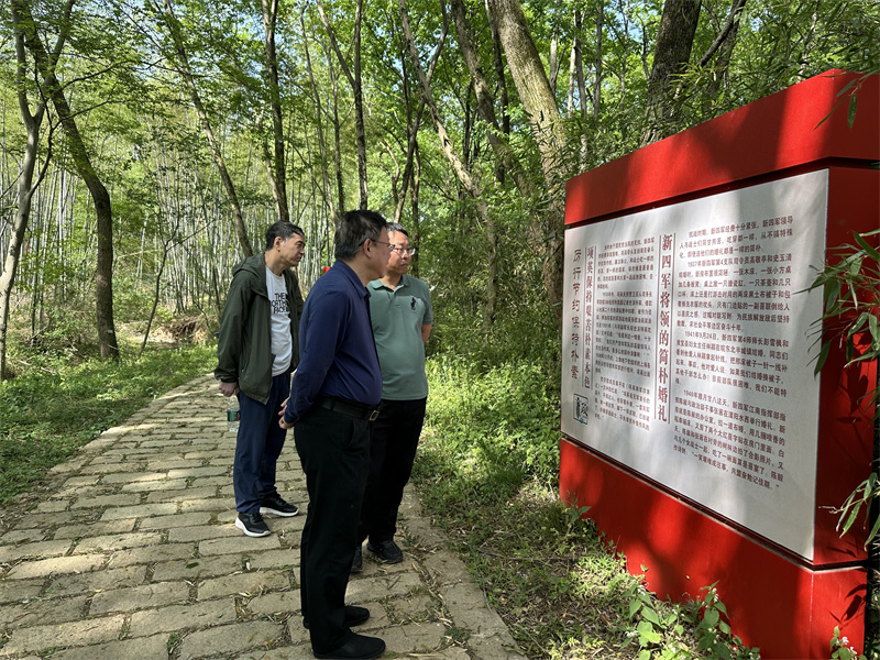 “追尋紅色足跡，擁抱生態(tài)夏意”-夏日團建活動3